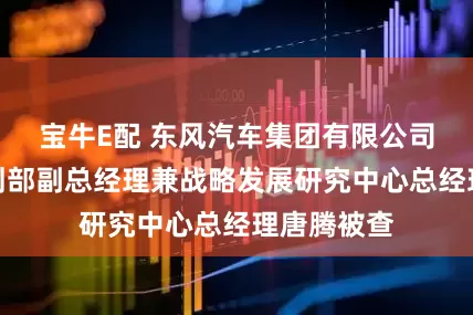 宝牛E配 东风汽车集团有限公司原战略规划部副总经理兼战略发展研究中心总经理唐腾被查