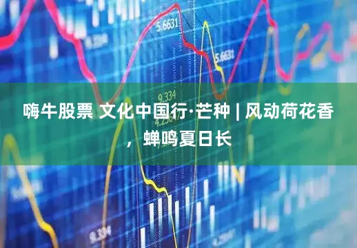 嗨牛股票 文化中国行·芒种 | 风动荷花香，蝉鸣夏日长
