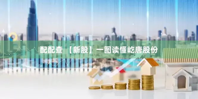 配配查 【新股】一图读懂屹唐股份