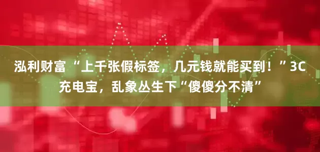 泓利财富 “上千张假标签，几元钱就能买到！”3C充电宝，乱象丛生下“傻傻分不清”
