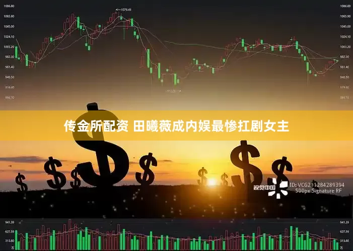 传金所配资 田曦薇成内娱最惨扛剧女主